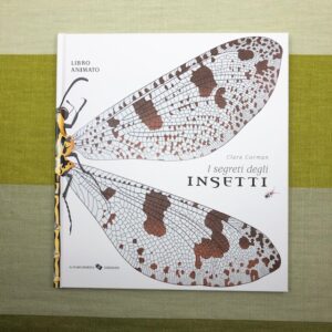I SEGRETI DEGLI INSETTI