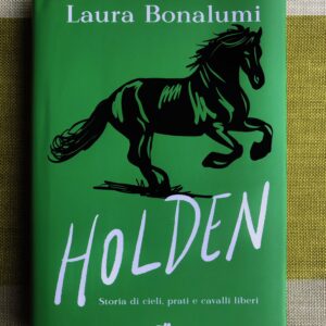 HOLDEN. STORIA DI CIELI, PRATI E CAVALLI LIBERI