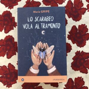 LO SCARABEO VOLA AL TRAMONTO