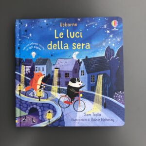 LE LUCI DELLA SERA