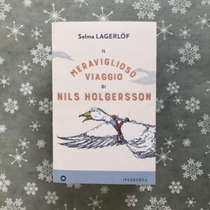 IL MERAVIGLIOSO VIAGGIO DI NILS HOLGERSSON