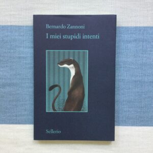 I MIEI STUPIDI INTENTI