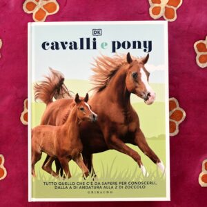 CAVALLI E PONY