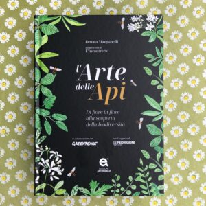 L'ARTE DELLE API