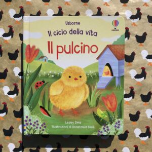 IL CICLO DELLA VITA. IL PULCINO
