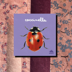 COCCINELLA